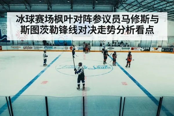 hockey game arena action