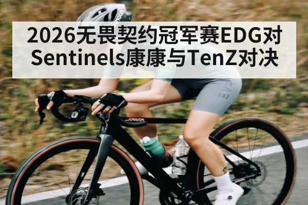 2026无畏契约冠军赛EDG对Sentinels康康与TenZ对决 | KAIYUN